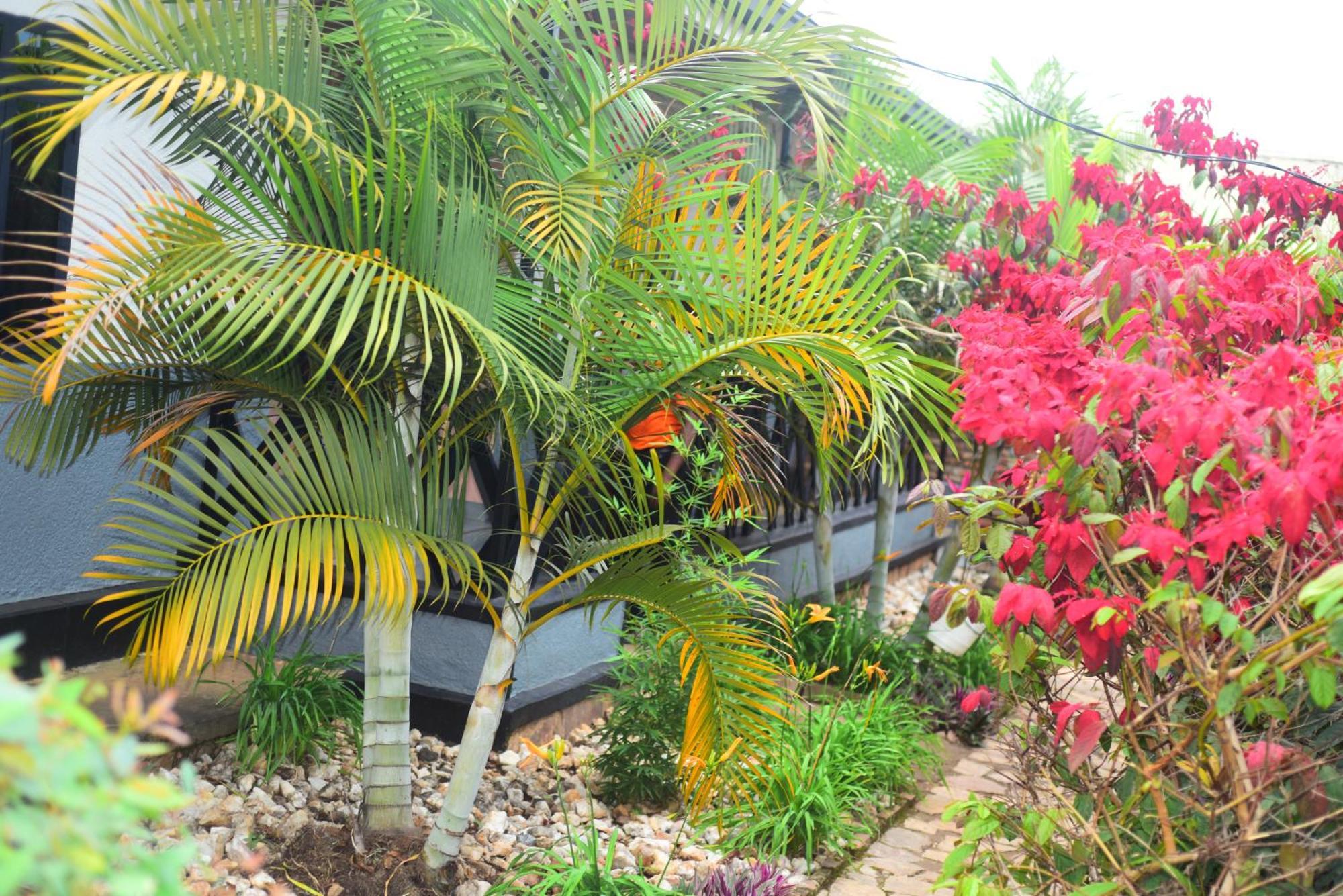 Bed and Breakfast Akagera Neighbors Kabarondo Exterior foto