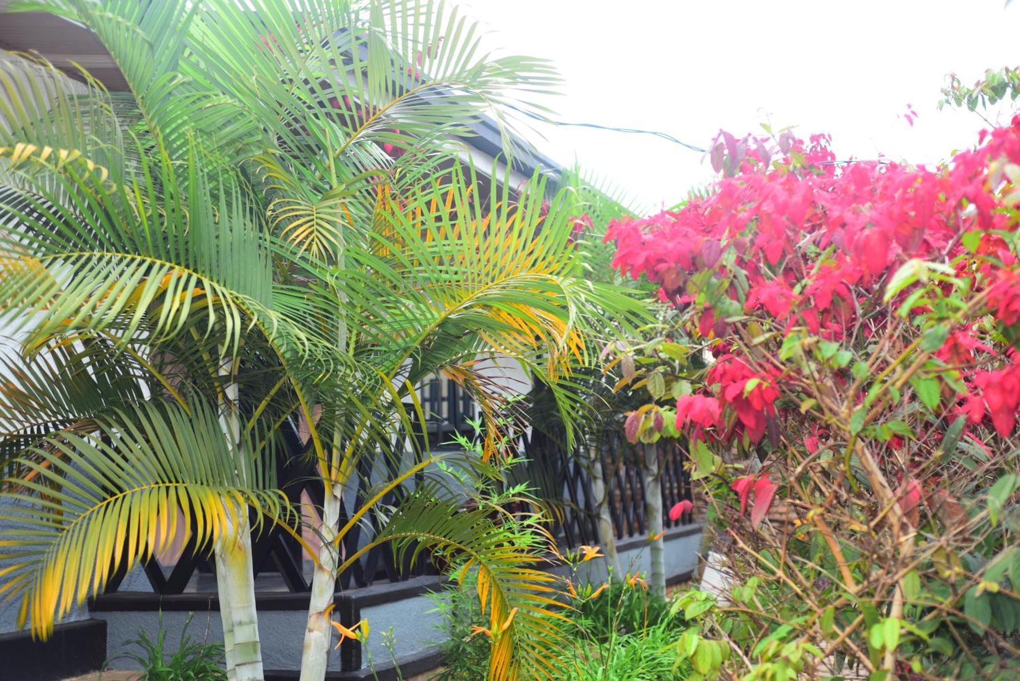 Bed and Breakfast Akagera Neighbors Kabarondo Exterior foto